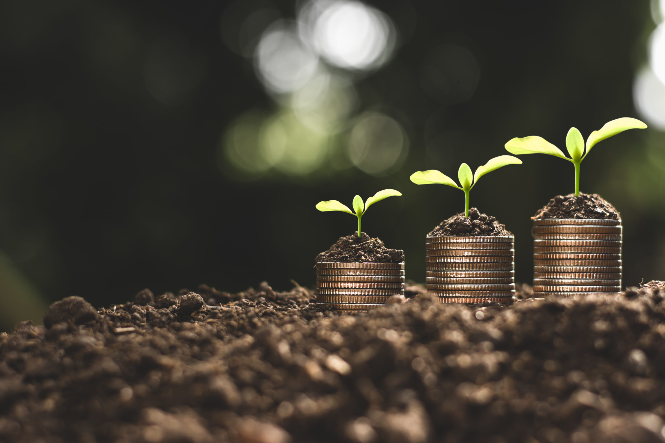 Financial growth.
